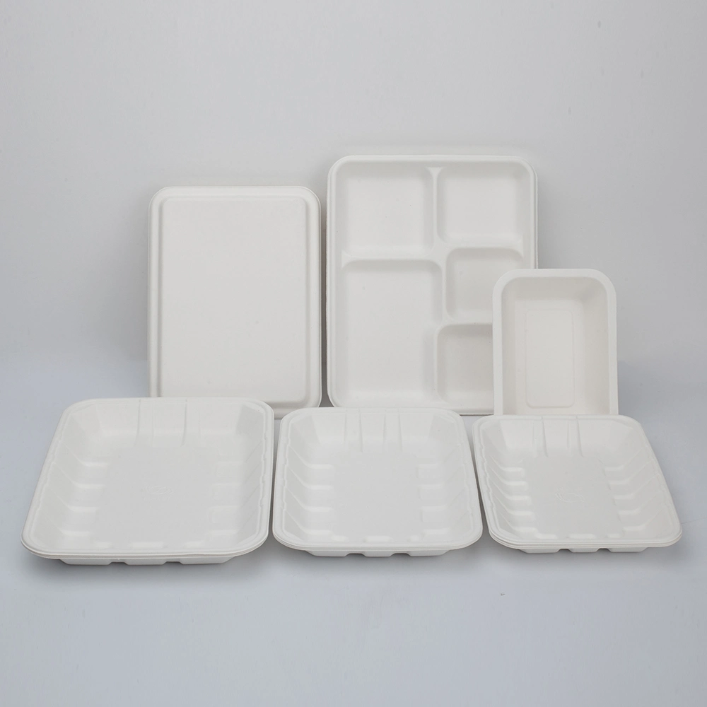 Sugarcane Bagasse Disposable Recyclable Biodegradable Paper Pulp Tray