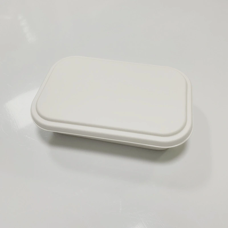 Sugarcane Bagasse Disposable Recyclable Biodegradable Paper Pulp Tray