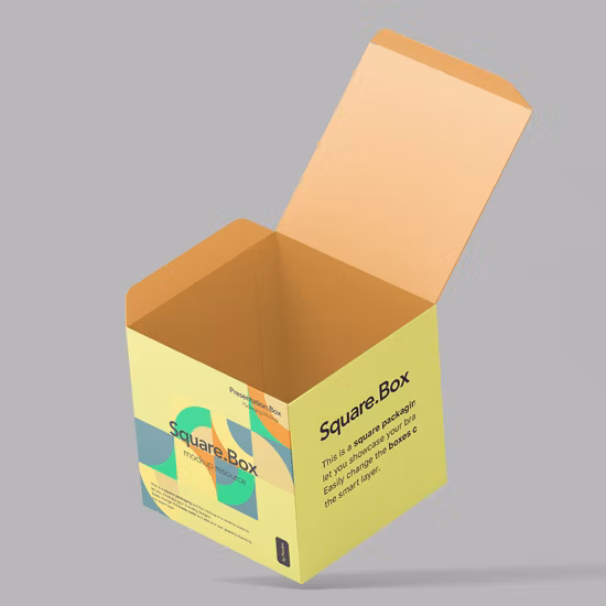 맞춤형 인쇄 및 투명 PVC 창을 갖춘 판지 접이식 상자